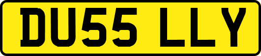 DU55LLY