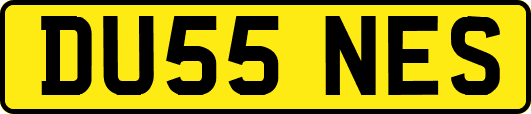 DU55NES