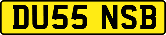 DU55NSB