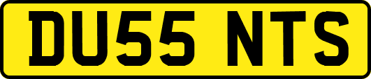 DU55NTS