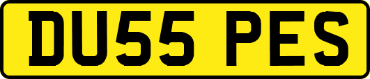 DU55PES
