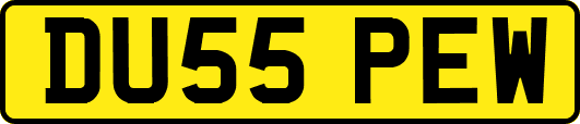DU55PEW