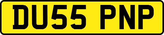 DU55PNP