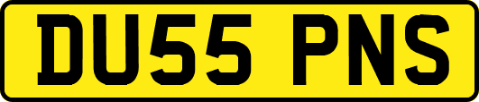 DU55PNS