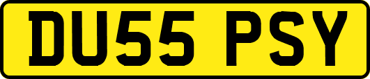 DU55PSY
