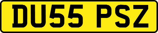 DU55PSZ