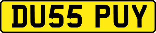 DU55PUY