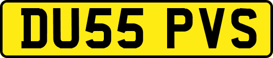 DU55PVS