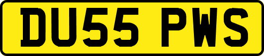 DU55PWS