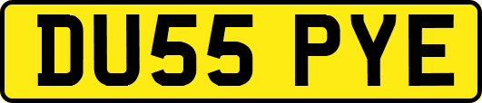 DU55PYE