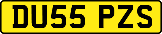 DU55PZS