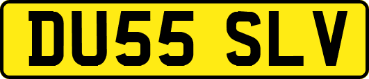 DU55SLV
