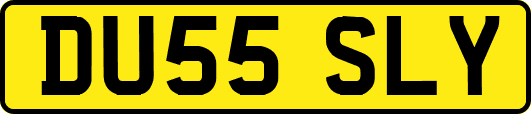 DU55SLY
