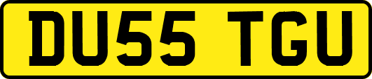 DU55TGU