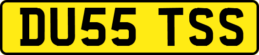 DU55TSS