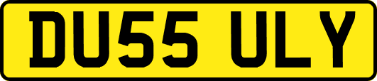 DU55ULY