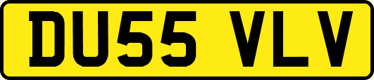 DU55VLV