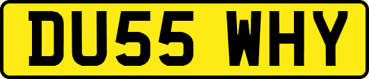 DU55WHY