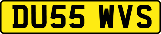 DU55WVS