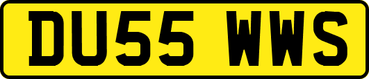 DU55WWS