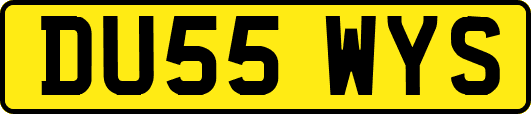 DU55WYS