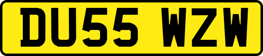 DU55WZW