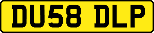 DU58DLP