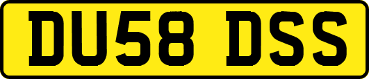 DU58DSS