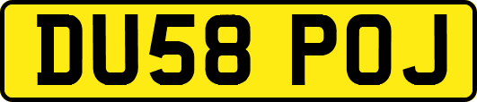 DU58POJ