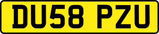 DU58PZU