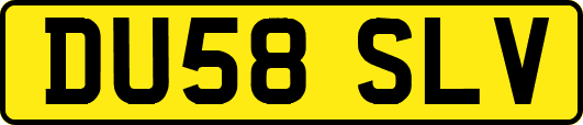 DU58SLV