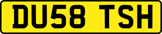 DU58TSH