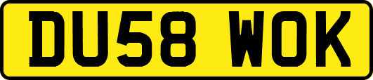 DU58WOK