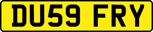 DU59FRY
