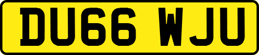 DU66WJU