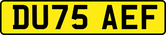 DU75AEF