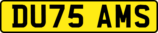 DU75AMS