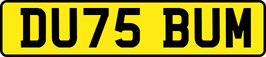 DU75BUM