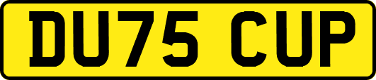 DU75CUP