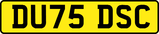 DU75DSC