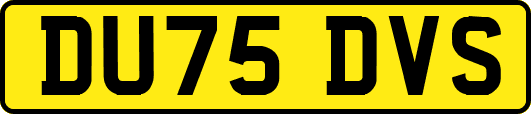 DU75DVS