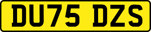 DU75DZS