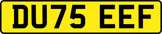 DU75EEF
