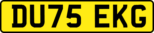 DU75EKG