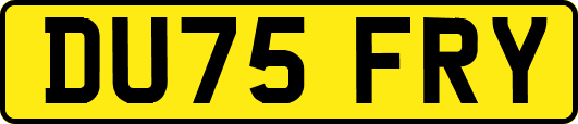 DU75FRY