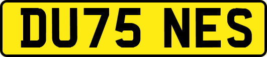 DU75NES