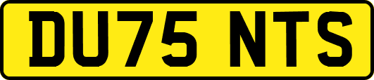 DU75NTS