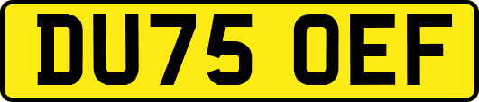 DU75OEF