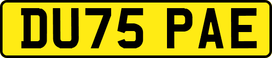DU75PAE