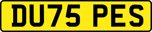 DU75PES